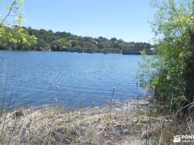 Molinos Río Perales,Cañadas reales;singles de madrid ruta romanico palencia excursiones por almeria 